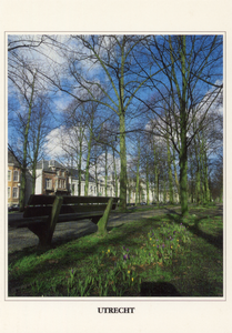 602111 Gezicht op de Maliebaan te Utrecht met links de huizen Maliebaan 10- hoger.